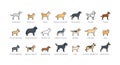 Dog breeds icons set: akita, rottweiler, beagle, domerman. Royalty Free Stock Photo